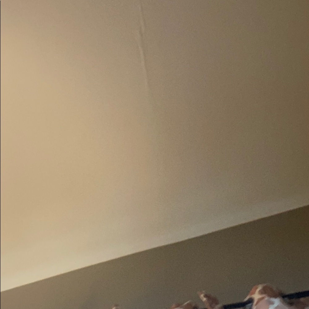 Meet your Posher, Sophia